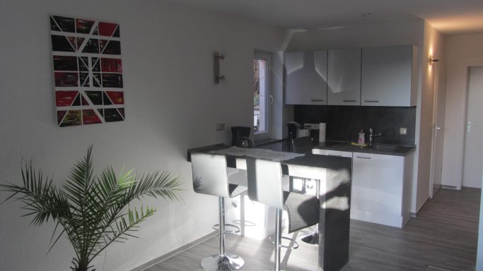 Essecke des kleinen Gartenapartments Moderne Küche mit Barhockern, heller Farbgestaltung und Pflanze im Vordergrund.